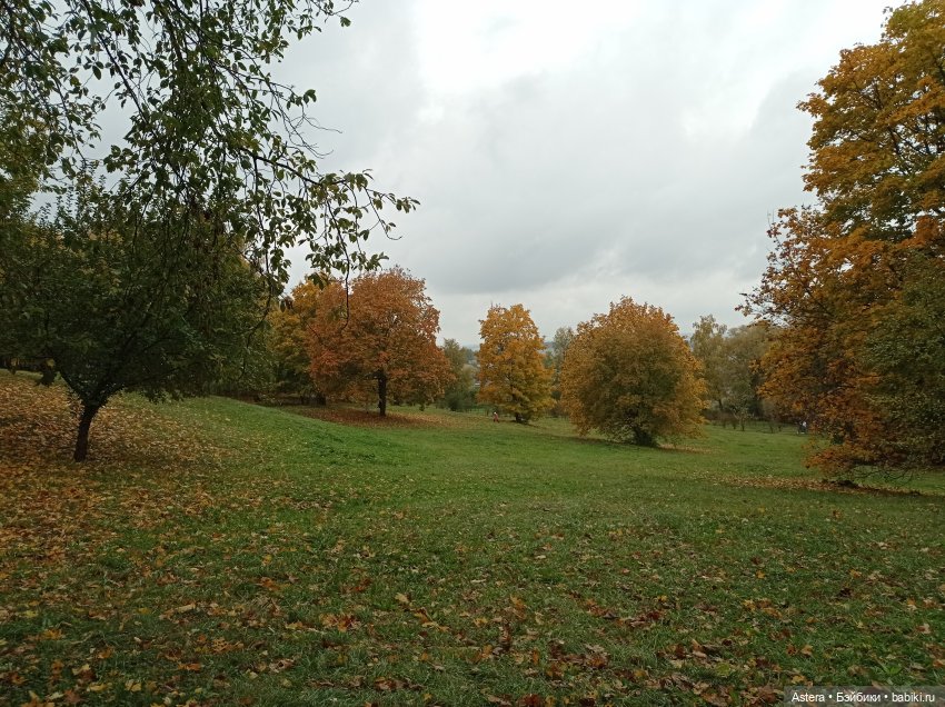 Проводила лето в с. Большое Болдино