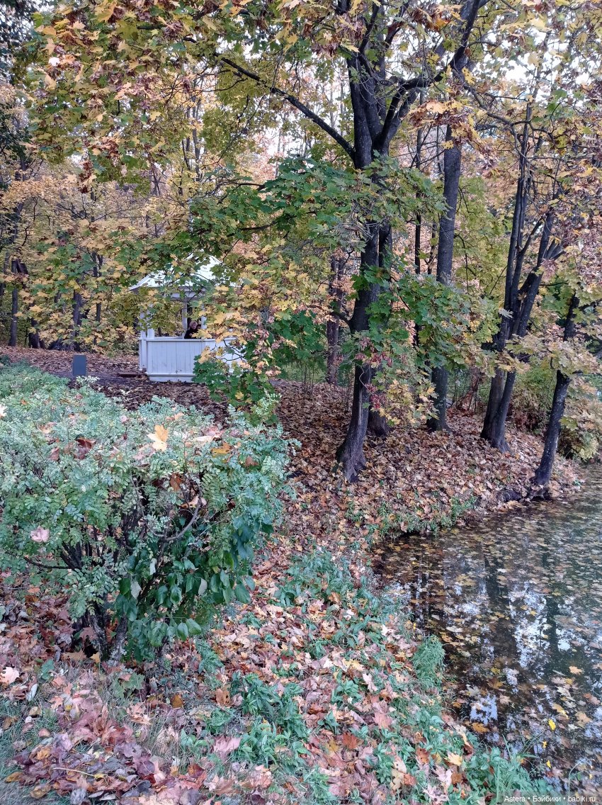 Проводила лето в с. Большое Болдино