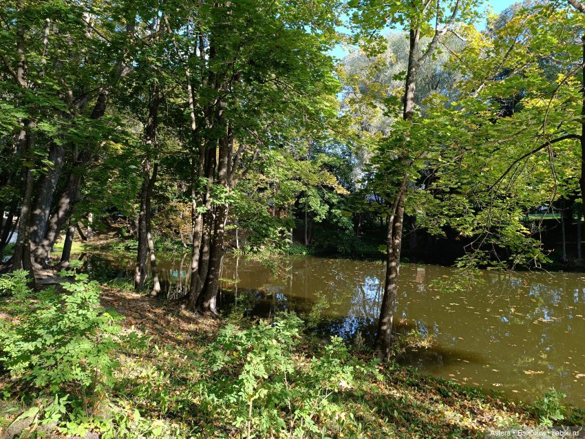 Проводила лето в с. Большое Болдино