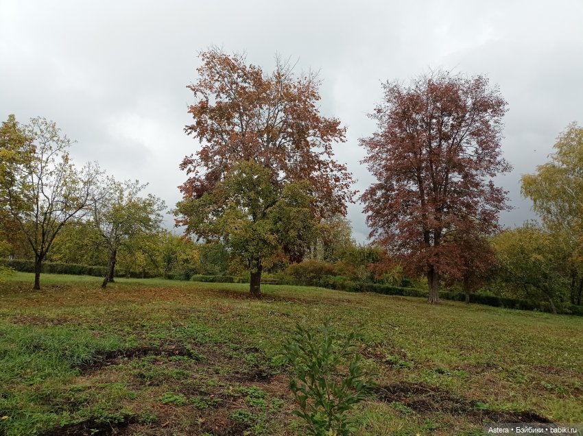 Проводила лето в с. Большое Болдино