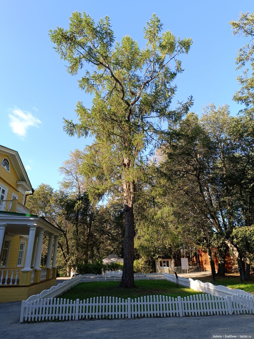 Проводила лето в с. Большое Болдино