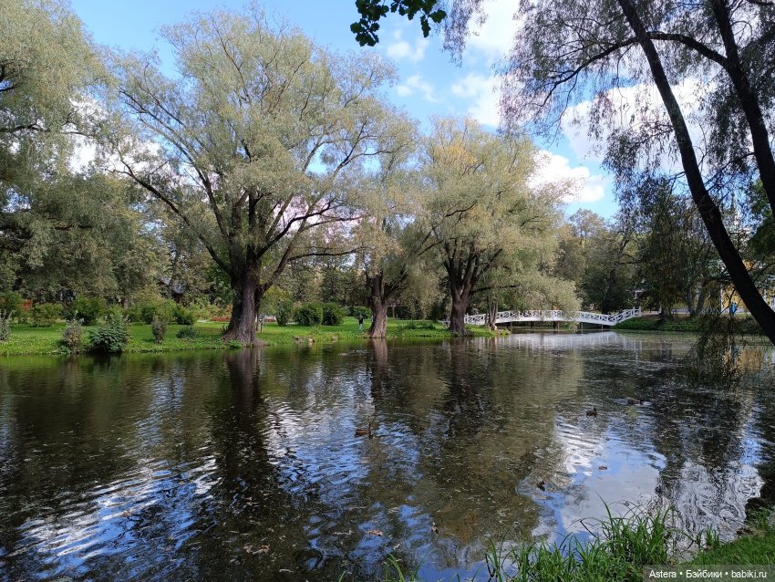 Проводила лето в с. Большое Болдино