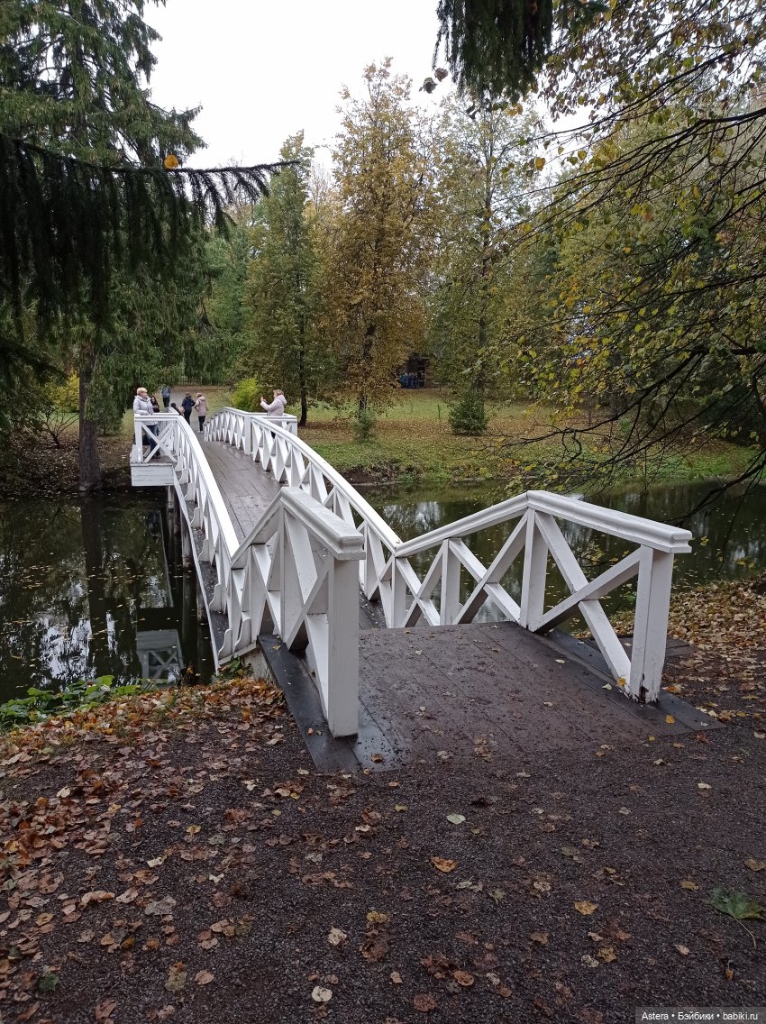 Проводила лето в с. Большое Болдино