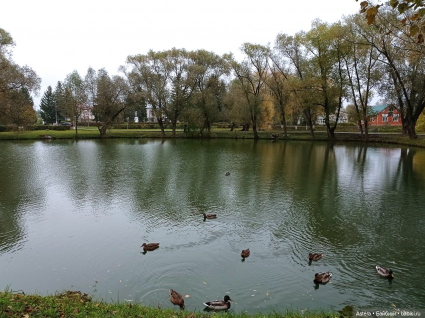 Проводила лето в с. Большое Болдино