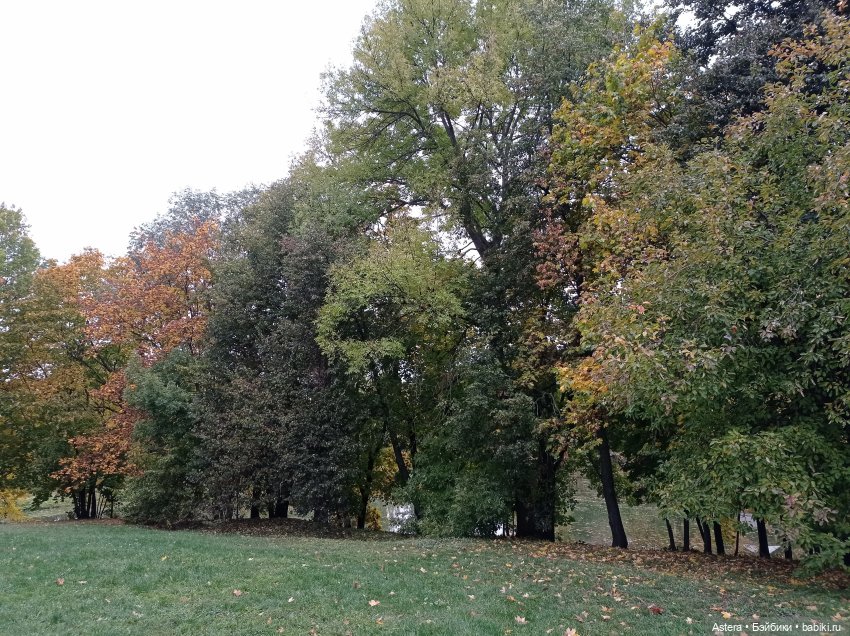 Проводила лето в с. Большое Болдино