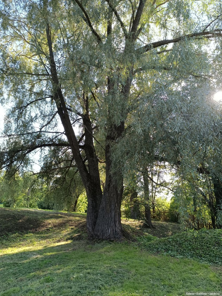 Проводила лето в с. Большое Болдино