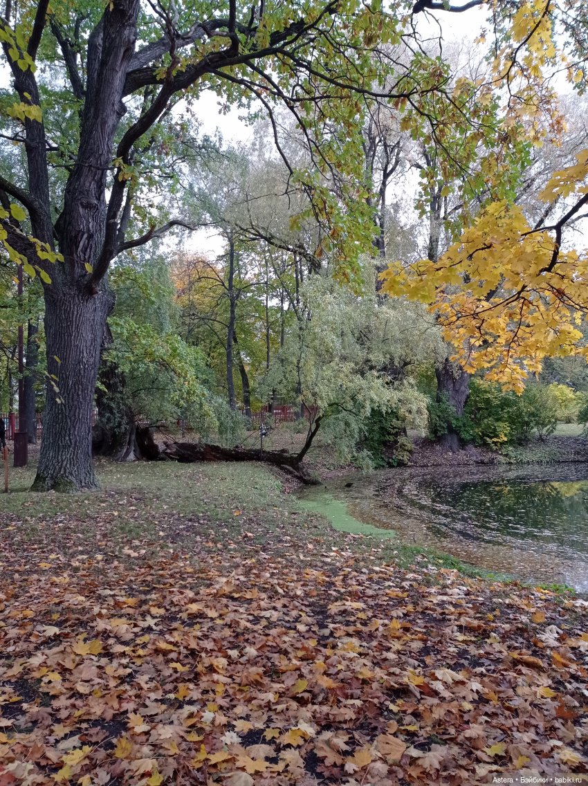Проводила лето в с. Большое Болдино