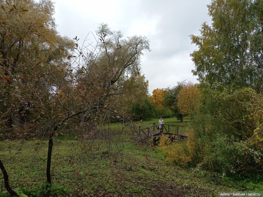 Проводила лето в с. Большое Болдино