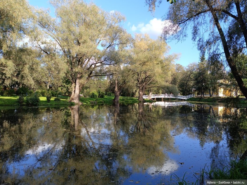 Проводила лето в с. Большое Болдино