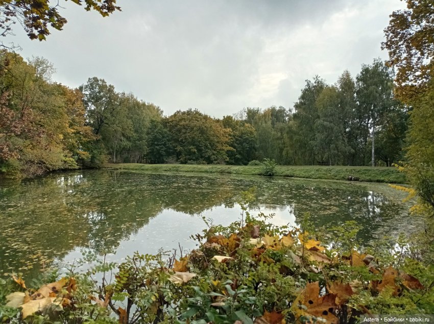 Проводила лето в с. Большое Болдино