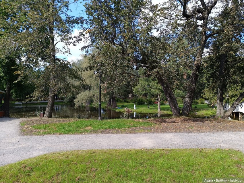 Проводила лето в с. Большое Болдино (фото 6)