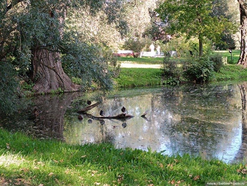 Проводила лето в с. Большое Болдино