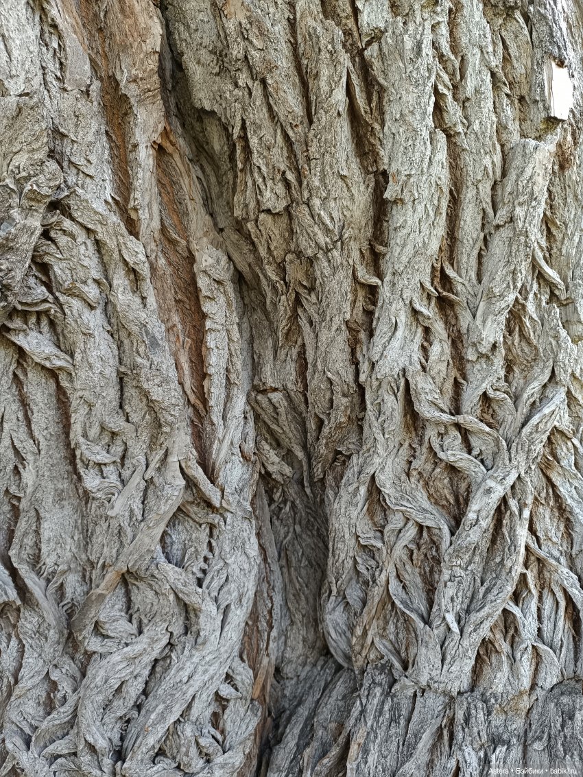 Проводила лето в с. Большое Болдино