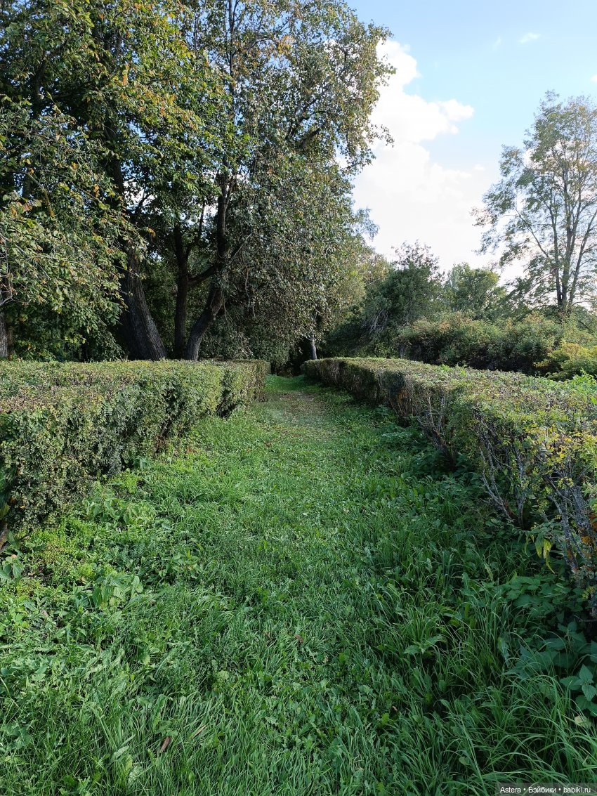 Проводила лето в с. Большое Болдино