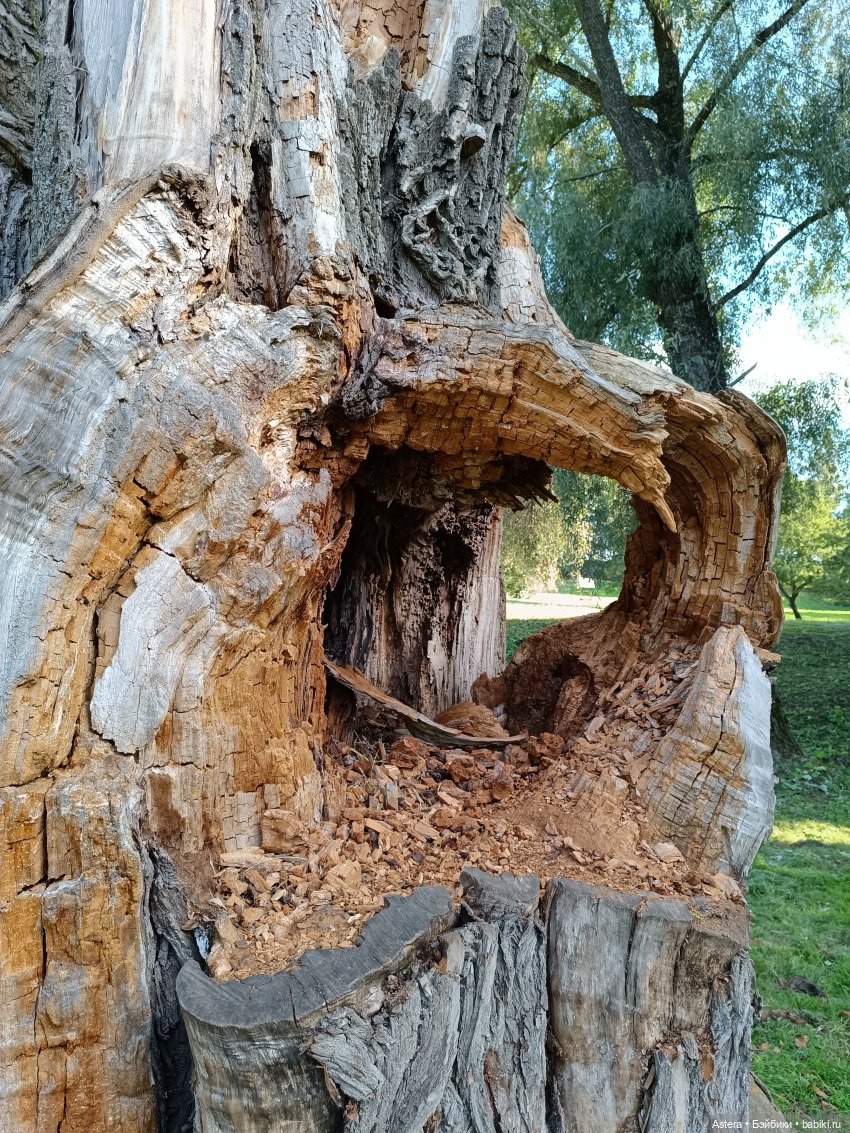 Проводила лето в с. Большое Болдино