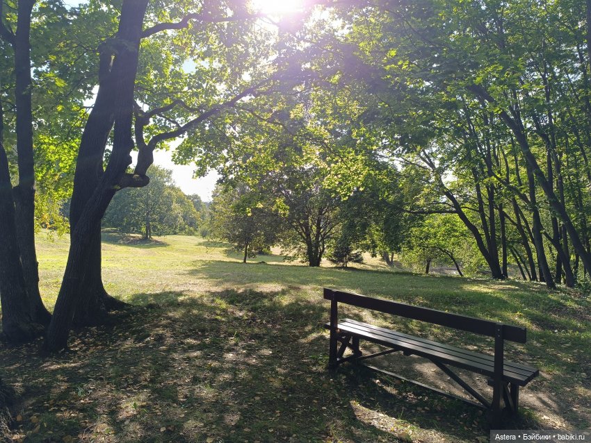 Проводила лето в с. Большое Болдино