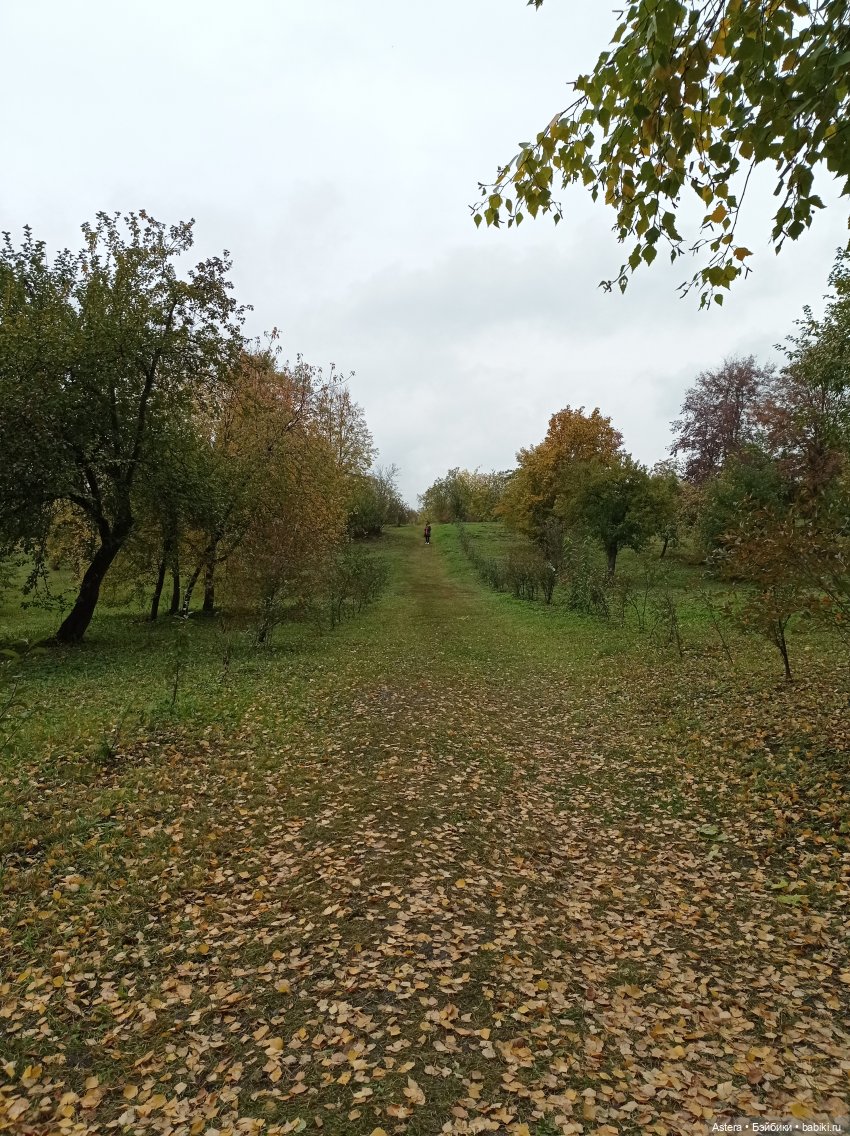 Проводила лето в с. Большое Болдино