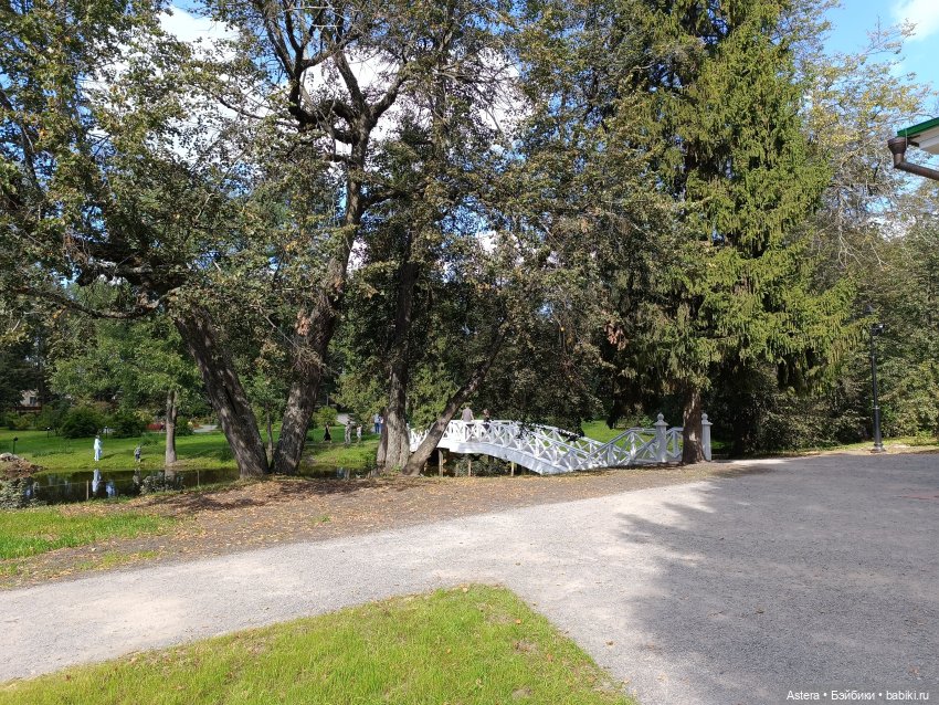 Проводила лето в с. Большое Болдино (фото 7)