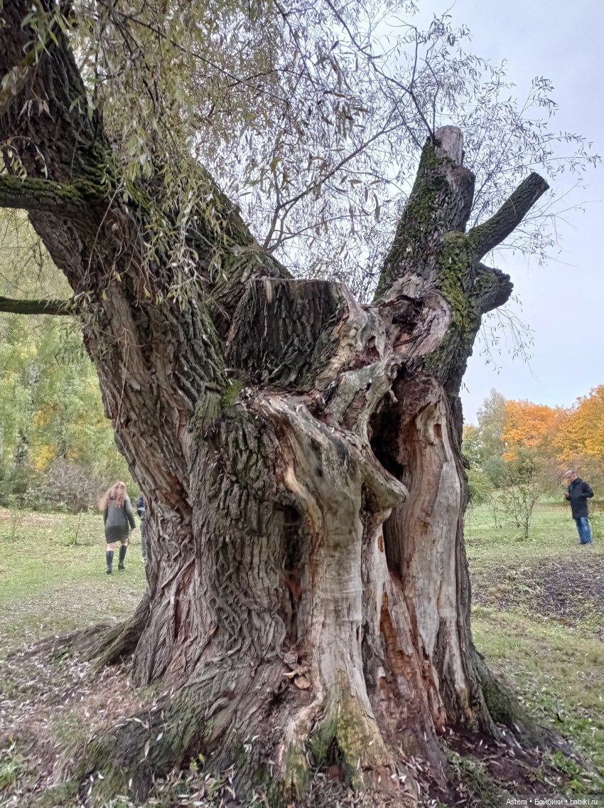 Проводила лето в с. Большое Болдино