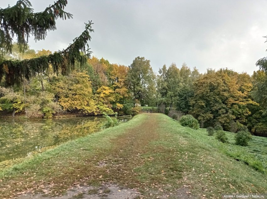 Проводила лето в с. Большое Болдино