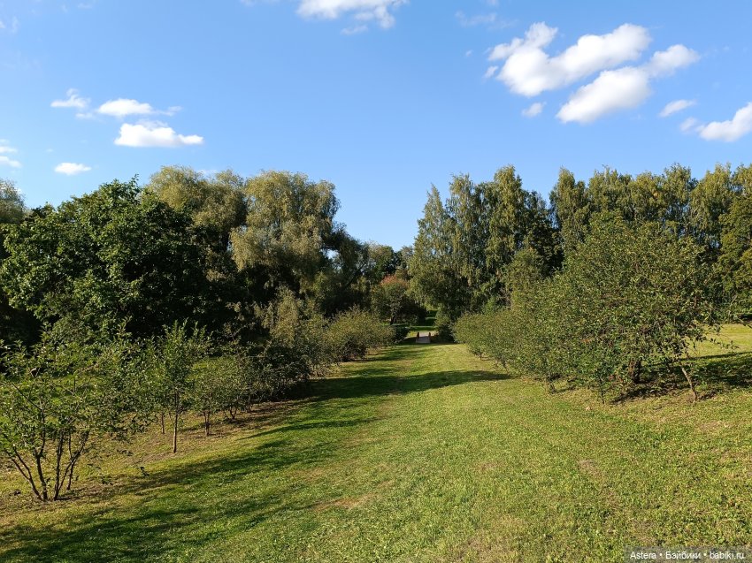 Проводила лето в с. Большое Болдино