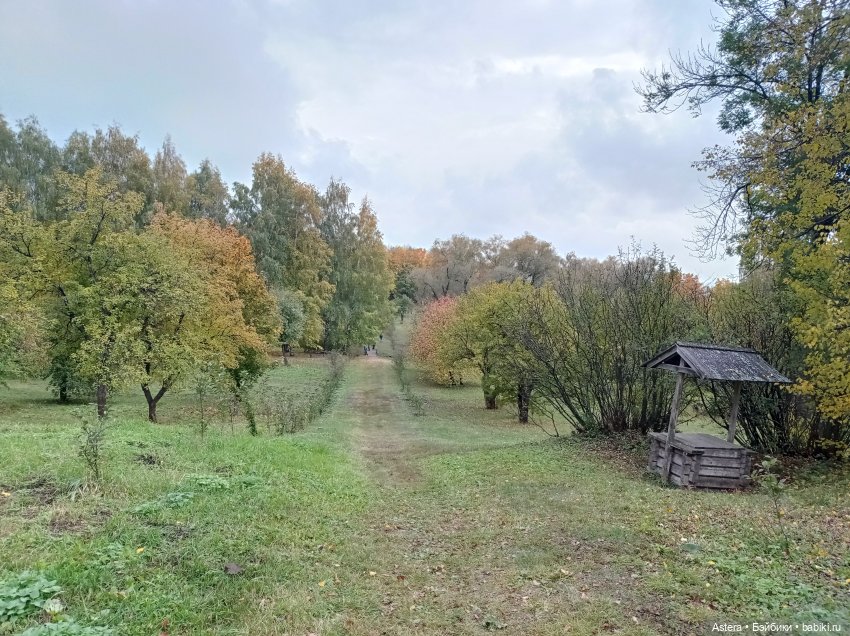 Проводила лето в с. Большое Болдино