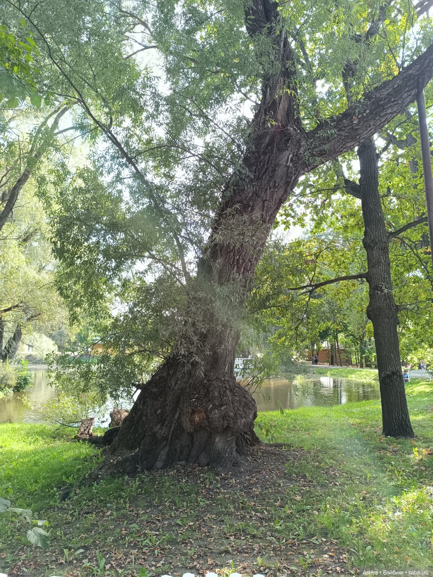 Проводила лето в с. Большое Болдино (фото 8)