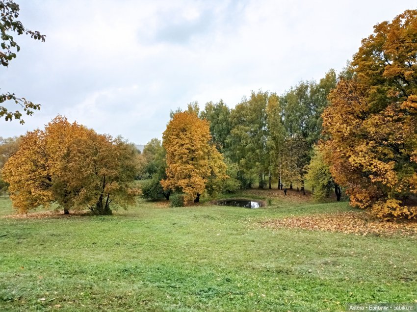 Проводила лето в с. Большое Болдино