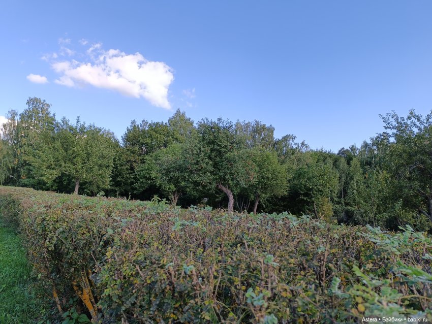 Проводила лето в с. Большое Болдино