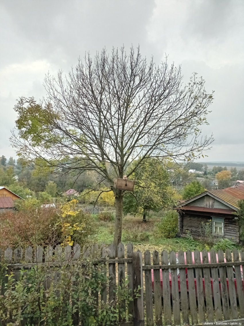 Проводила лето в с. Большое Болдино
