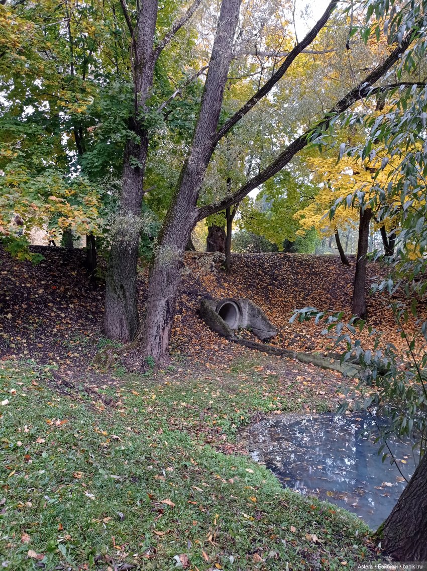 Проводила лето в с. Большое Болдино