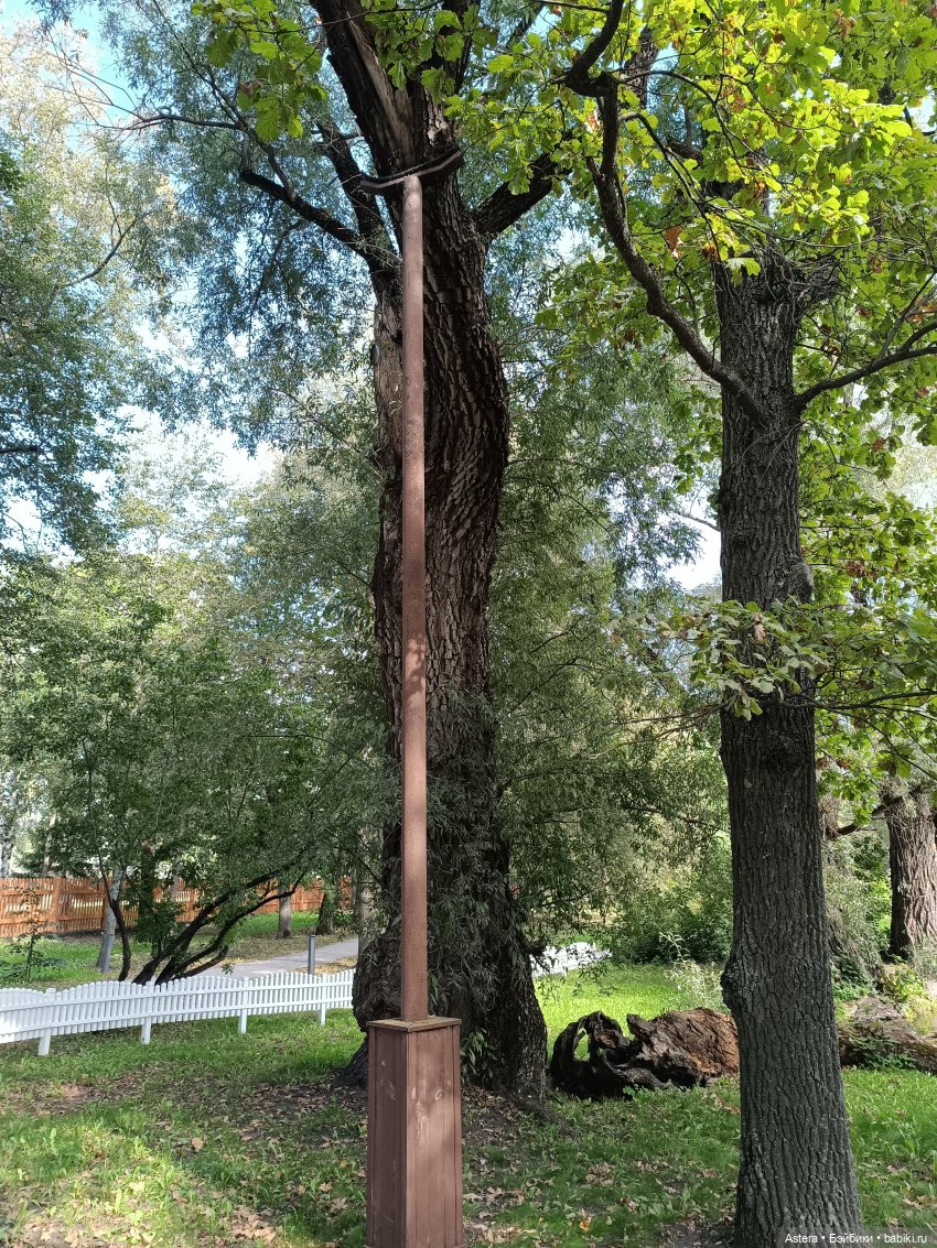 Проводила лето в с. Большое Болдино (фото 9)