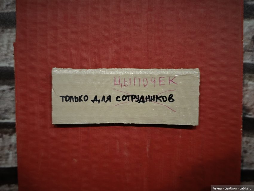 Заблудшая сестра. Глава 4. Сестра за сестру (16+) (фото 5)