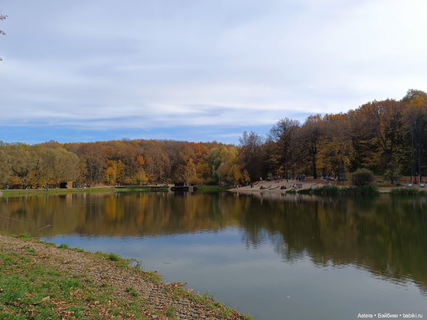 Парни гуляют в лесу — Коллекционные экшн