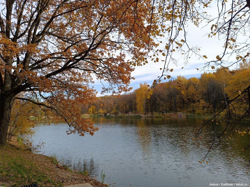 Парни гуляют в лесу — Коллекционные экшн