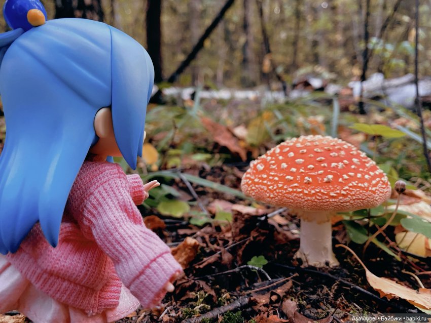 Аква в осеннем лесу — Фигурки Nendoroid (Нендороиды) и Cu (фото 7)