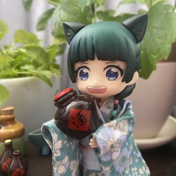 Мао Мао за занятием