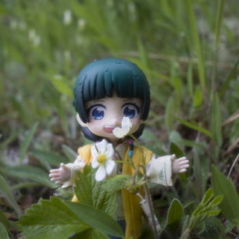 Дождливая прогулка в Карелии