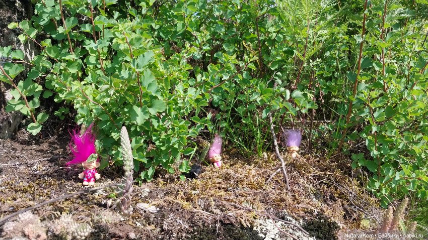 Ася. Приключение в горах — Российские куклы Весна