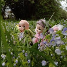 Гуляем в выходные