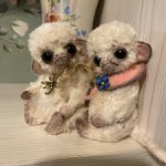 Пара Обезьянок