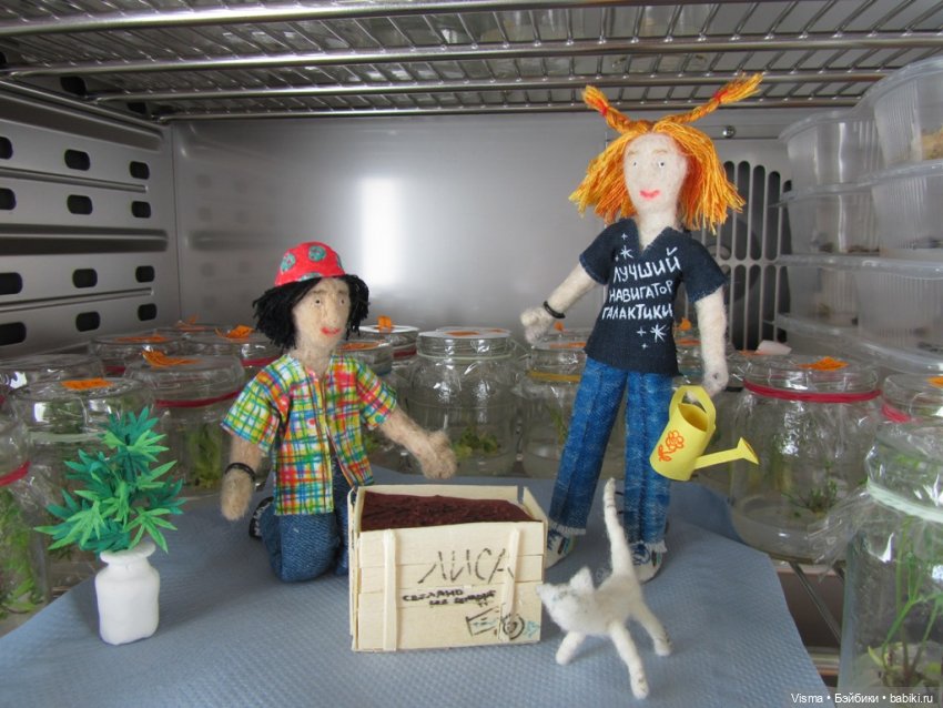Биолухи - очень авторские куклы (фото 10)