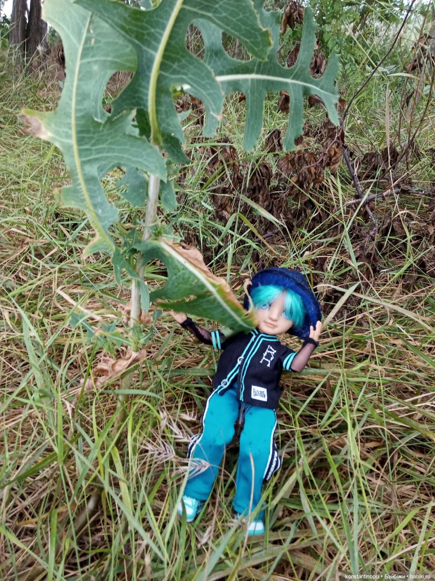 Что ни день, то проблема — Куклы Rainbow High (Рейнбоу Хай