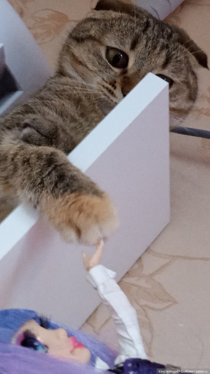 Вайлет Fantastic Fashion — Куклы Rainbow High (Рейнбоу Хай