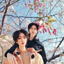 "Вишен цветы будто с небес упали"