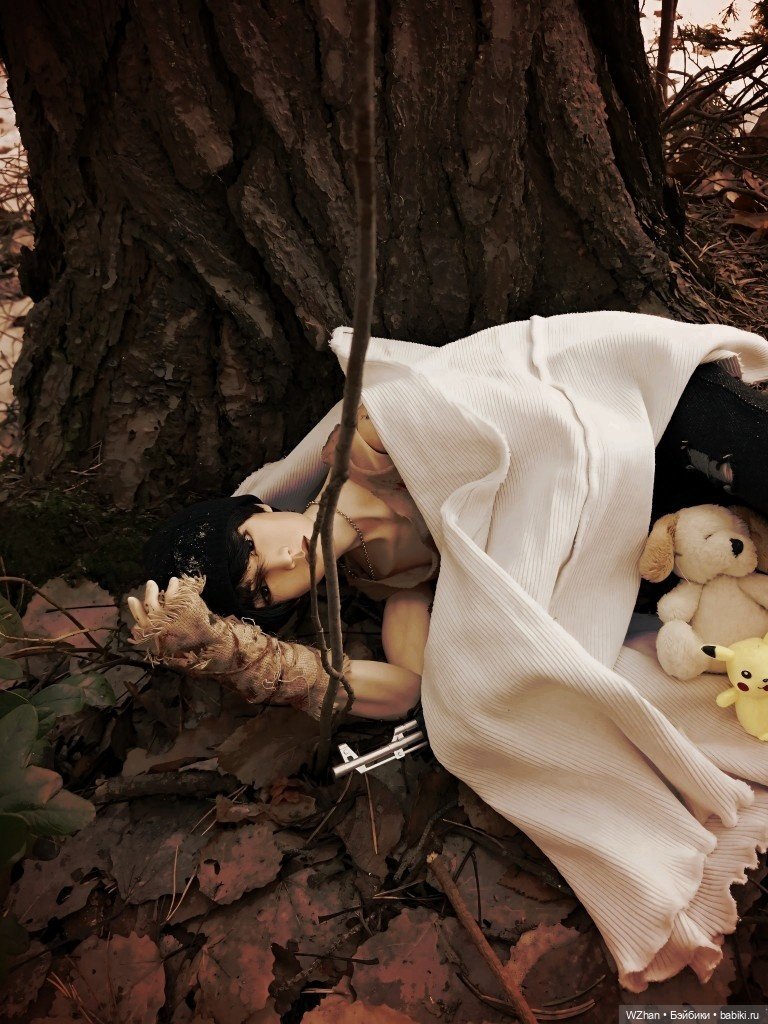 Мне снится сон — Фотоистории с куклами BJD (БЖД): сериалы