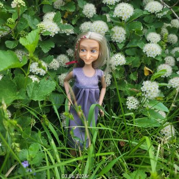 А вот и мы - цветов не надо