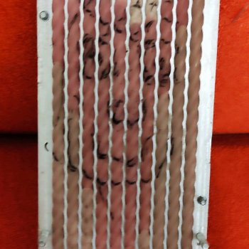 О фантазиях Федора нужен топик 👍🏻Как Федор с Кристи гулял