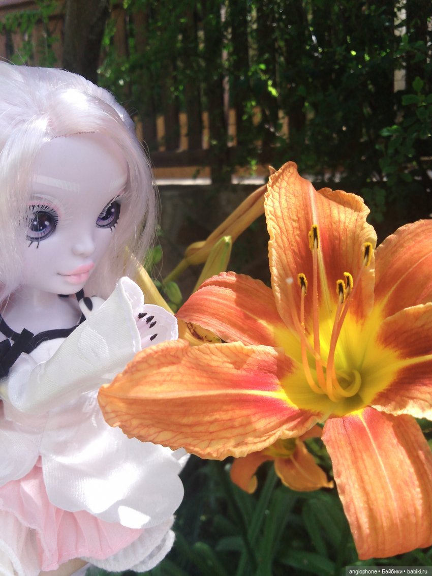 Моя первая прогулка с куклами (фото 2)