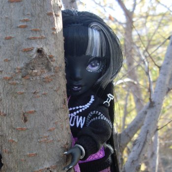 Новый образ Шанель